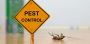 Looking for reliable pest control services Corpus Christi?