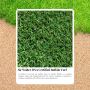 The Pet-Friendly, Kid-Safe Turf Your Family Will Love The Pet-Friendly, Kid-Safe Turf Your Family Will Love