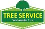  Tree Service San Leandro Pros