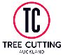 for Safe and Effici Tree Cutting Services Auckland