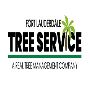 Fort Lauderdale Tree Service