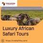Best Luxury Africa Tours & Safaris