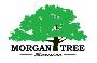 Morgan Tree Service: Your Trusted Tree Contractor