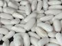 Order White Kidney Beans Online USA from Our Store