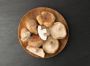 Buy The Best Quality Shiitake Mushrooms in Bulk
