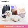 PetdelMovers - Best Pet Transport Company in India