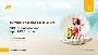 Best Summer Sale 2022 In Benin Best Summer Sale 2022 In Benin