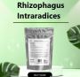 Rhizophagus Intraradices Garden Upgrade: Order Bulk 