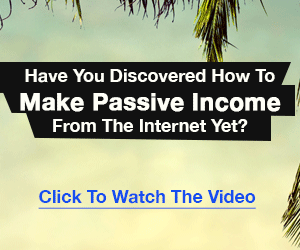 Internet Millionaire Will Guide You Through!