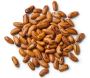 Garden Seeds Supplier - US Seeds Bank