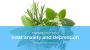 Which Herbs Can Treat Anxiety Disorder and Depression?