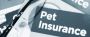 Shopping For Nationwide Pet Insurance