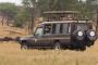 Unforgettable Family Safaris in Africa with Vencha Travel