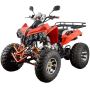Buy the all-new Gas ATVs (110cc-250cc)