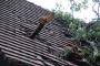 Comprehensive Roof Inspection in Milton, GA