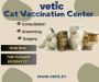 Is your cat vaccinated? If Not - Vaccinated Today At Vetic