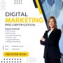 Comprehensive Digital Marketing Training
