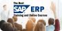 SAP Project System Training Online
