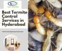 Best Termite Control Services in Hyderabad