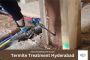 Termite Treatment Hyderabad | Viluna Pest Control
