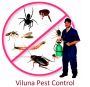 Termite Pest Control Hyderabad | Viluna Pest Control