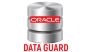 Oracle Data Guard Training - Viswa Online Trainings India