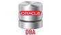 Oracle DBA Training By VISWA Online Trainings From Hyderaba