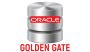 Oracle Golden Gate Online Training Institute From India -