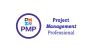 PMI-ACP (Agile Certified Practitioner)Online Training Course