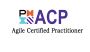 PMP (Project Management Professional)Online Training