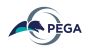 PEGA 8.1 (CSA & CSSA)Online Training Coaching Course India