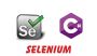 Selenium with C#Online Training Real Time Support From Hyder
