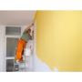 Top rated Painting Service Barrhaven, Nepean- VM Clean Paint