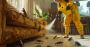 Best pest control services Mumbai with 100% Hygienic Best pest control services Mumbai with 100% Hygienic