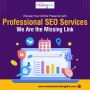 Elevate Your Online Presence with Professional SEO Services 