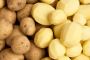 Best Quality Potato Exporters In India