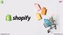Best and Affordable Custom Shopify Development Service in US
