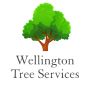 Wellington Tree Services