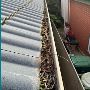 Best Gutter Cleaner in Woodcroft Best Gutter Cleaner in Woodcroft