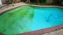 Specialize in Green to Clean Pool Services