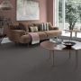 Buy Loop Carpet in Melbourne Online