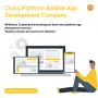 Cross Platform Mobile App Development Company