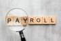Choose Willow Pay for Seamless Payroll Services