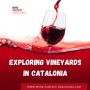 Exploring Vineyards in Catalonia
