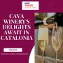 Cava Winery's Delights Await in Catalonia