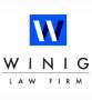 Steven Winig, Winig Family Law P.A.