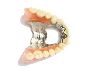 Dentures Treatment in Berwick - Woodleighwaters Dental Surge