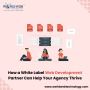 White Label Web Development Partner Can Help Your Agency