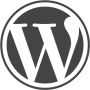 WordPress Experts At Your Service!