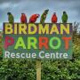 Find Your Feathered Companion at Birdman Parrot Rescue Centr